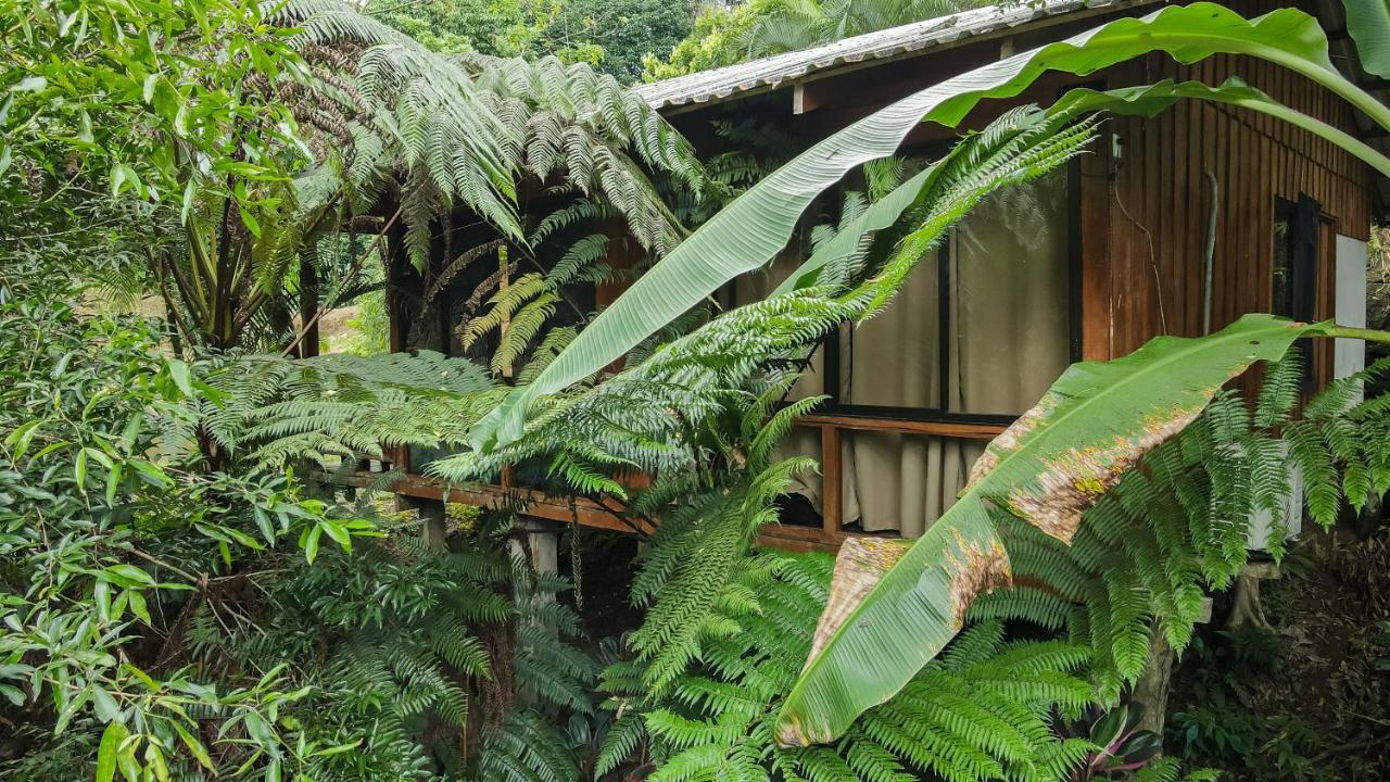 Cabanas Del Lago La Fortuna Zewnętrze zdjęcie